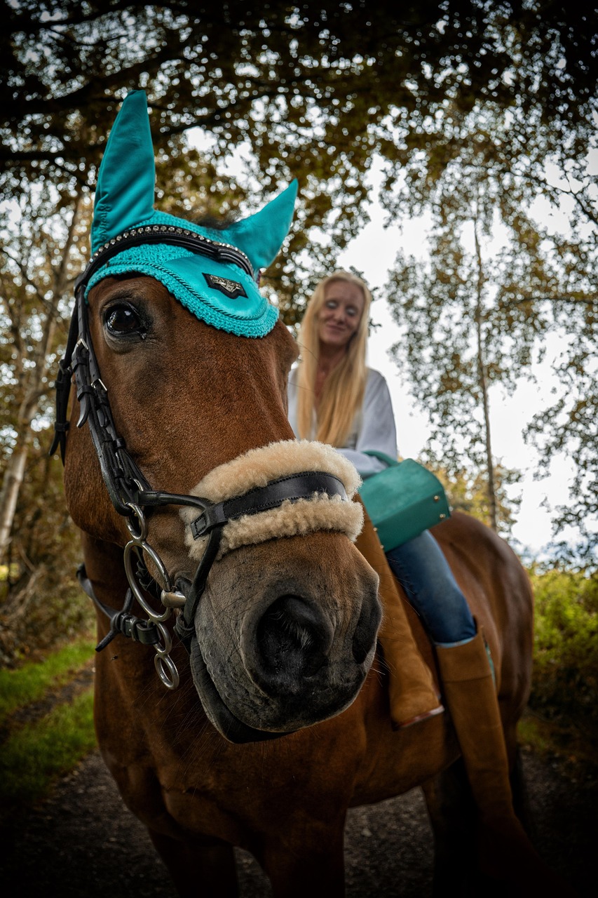 woman, nature, horse, equestrian, horseback riding, caucasian, countryside
