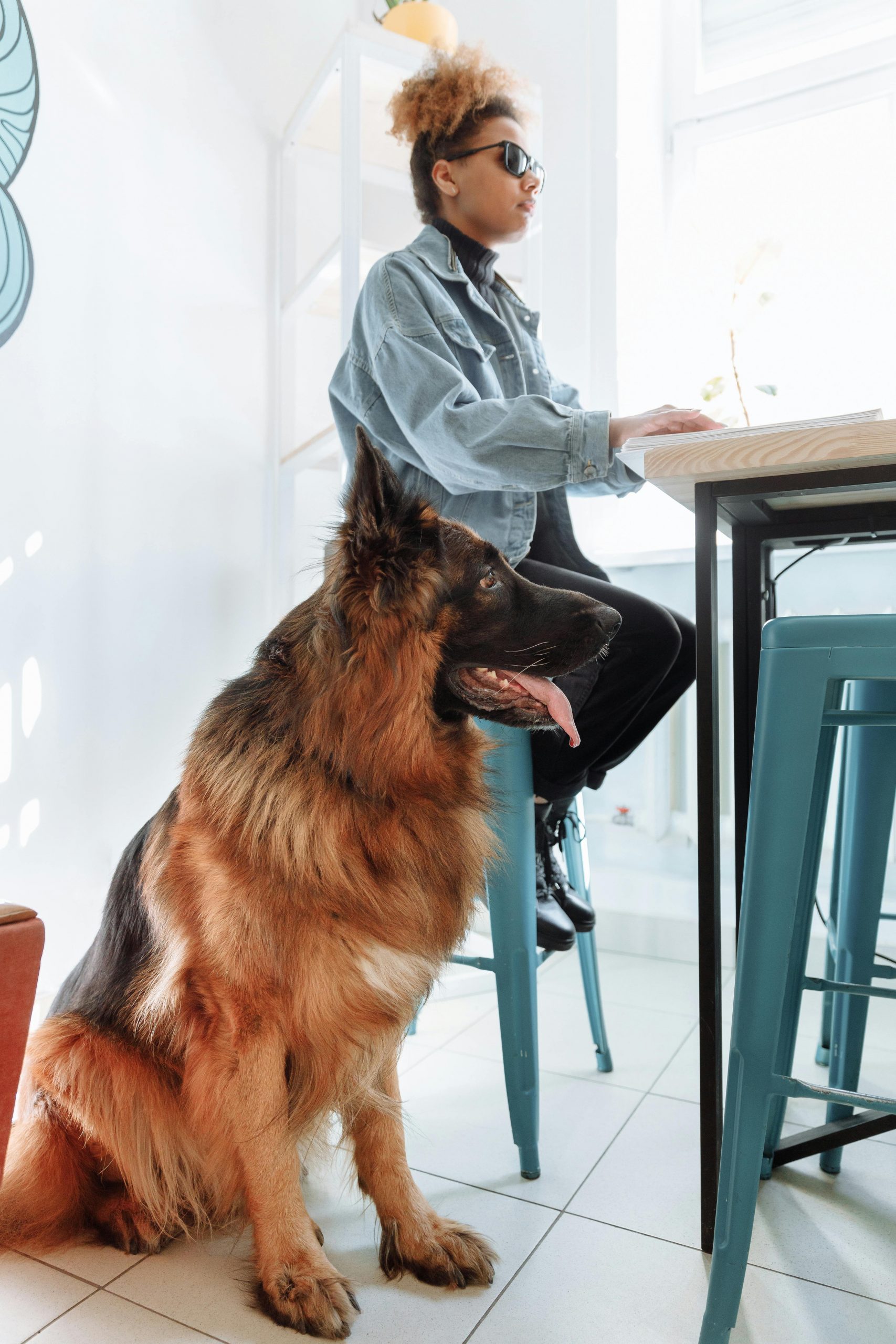 African American woman sitting with a German Shepherd guide dog in a bright indoor setting.